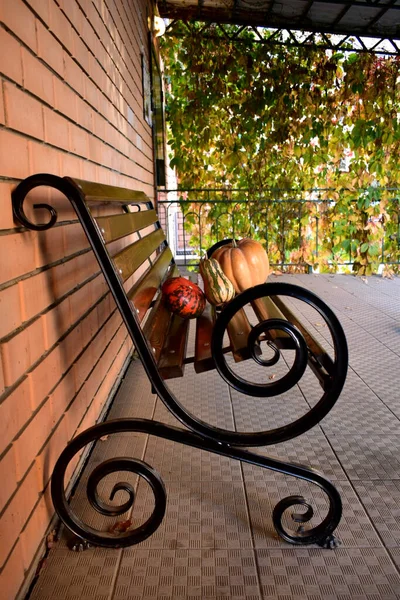 Beautiful Pumpkins Wooden Bench Brick Wall Autumn Morning — Stock Photo, Image
