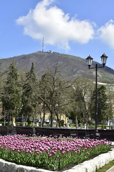 Vista Desde Jardín Flores Pyatigorsk Montaña Mashuk — Foto de Stock