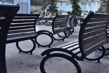 Pyatigorsk Çiçek Bahçesindeki bahçe sıraları