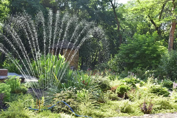 Automatyczne Podlewanie Roślin Ogrodzie Letni Poranek — Zdjęcie stockowe