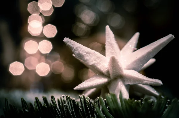 Weihnachtsdekoration Nahaufnahme Einer Weißen Design Schneeflocke Auf Einem Ast Des — Stockfoto
