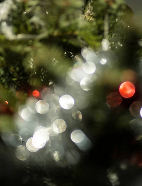 Bunten Kreis Glänzenden Bokeh Hintergrund Lichter Einer Lichterkette Weihnachtsbaum — Stockfoto