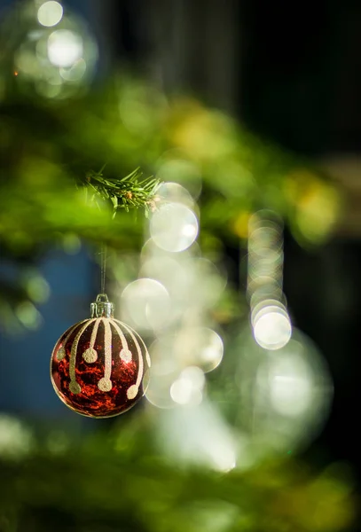 Großaufnahme Einer Rot Weißen Christbaumkugel Die Weihnachtsbaum Hängt Schöne Grün — Stockfoto