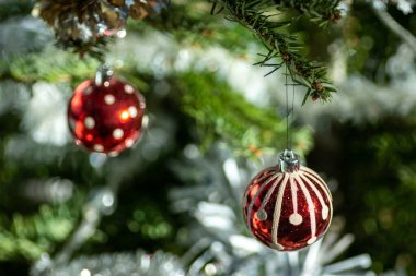 Noel ağacından sarkan kırmızı ve beyaz takılar. güzel yeşil ve beyaz bulanık arkaplan