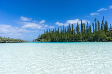 Oro Körfezi, Pines Adası, Yeni Kaledonya 'nın doğal yüzme havuzunun güzel deniz manzarası. Aquamarine yarı şeffaf su.