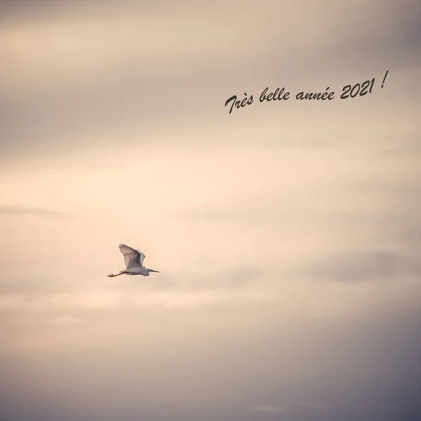 Isolated Egret Flying Beautiful Pink Cloudy Sky Text Happy New — Stock Photo, Image