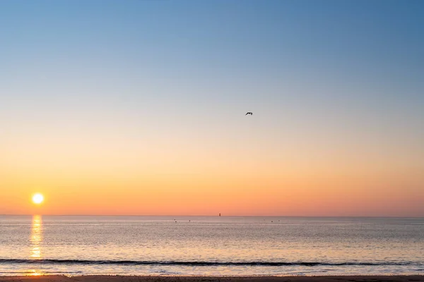 Panorama of Re island beaches with lighthouse in the horizon at sunrise with a very calm sea. seagull in the sky. beautiful minimalist seascape.