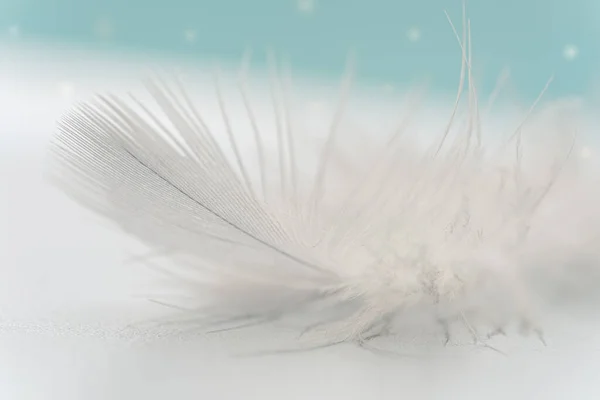 Красивое Абстрактное Белое Перо Белом Синем Фоне Soft White Feather — стоковое фото
