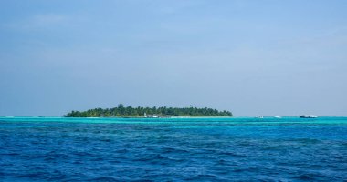 Palmiye ağaçları olan tropik bir ada. Güzel turkuaz gölü olan boş bir alan