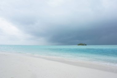 Palmiye ağaçları olan tropik bir ada. Gökyüzü bulutlu güzel turkuaz göllü boş bir alan.
