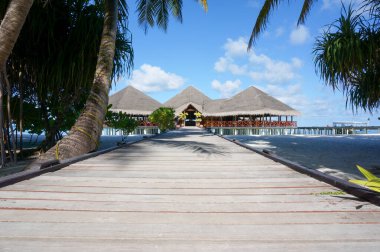 Maldivler 'deki Hint Okyanusu' ndaki su barına önderlik eden tahta iskele. turkuaz lagün