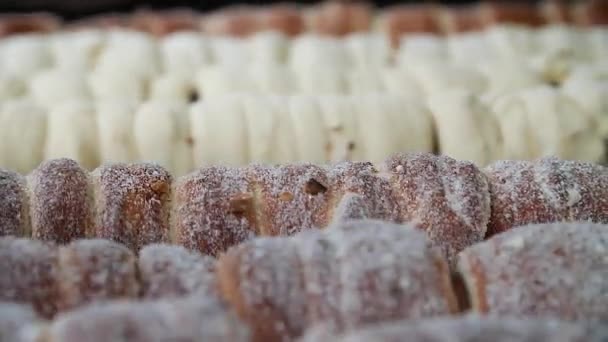 Trdelnik Tillagas Prags Julmarknad Närbild Låg Vinkel Resa Rörelse Slow — Stockvideo