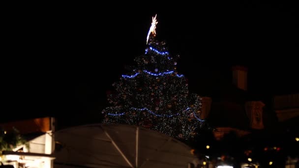 Weihnachtsbaum Der Nacht Auf Dem Prager Weihnachtsmarkt Hoher Winkel Reisebewegung — Stockvideo