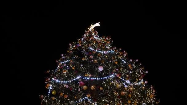 Weihnachtsbaum Der Nacht Auf Dem Prager Weihnachtsmarkt Nahaufnahme Hoher Winkel — Stockvideo