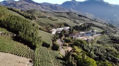 Alishan, Taipei, Tayvan 'daki dağ köyü ve çay terasları üzerinde hava aracı görüntüsü. Orta açı, seyahat hareketi, HD.