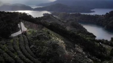 Thousand Island Gölü, Taipei, Tayvan 'daki Dağ Gölü çay terasları üzerinde insansız hava aracı görüntüsü. Düşük açı, parallax hareketi, HD.