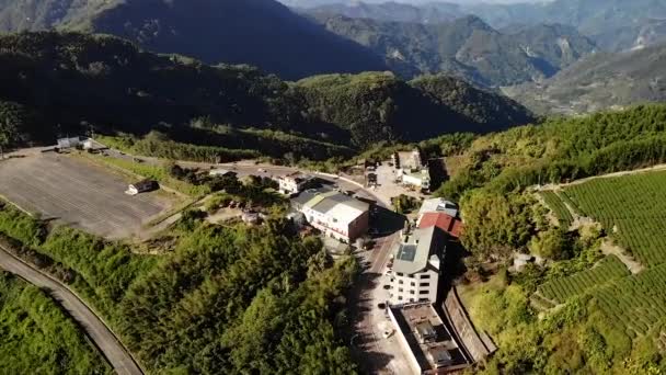드론으로 대만의 알리산 타이베이에 마을과 계단식논 기울기 — 비디오