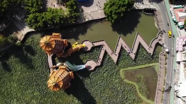 Aerial Drone View Pagodas Lotus Pond Lake Kaohsiung City Tajwan — Wideo stockowe