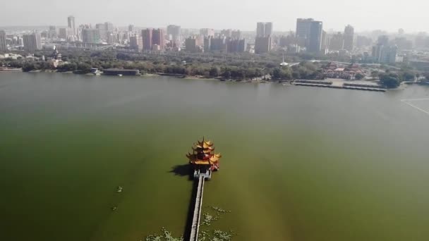 Aerial Drone View Lotus Pond Lake Wuliting Lookout Kaohsiung City — Wideo stockowe