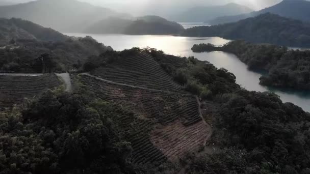 Vue Aérienne Par Drone Sur Les Terrasses Thé Lac Montagne — Video