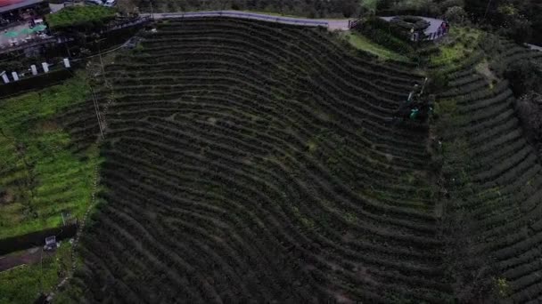 台北市千岛湖的高山湖茶台上空的无人驾驶飞机景观 低角度 视差运动 — 图库视频影像