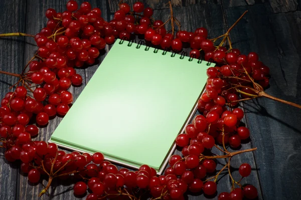Notebook sobre a mesa com bola de neve — Fotografia de Stock