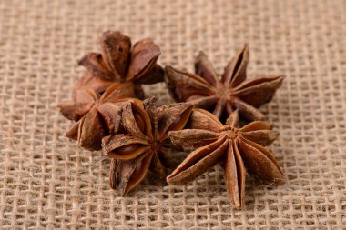 Sivas'tan anasonu çiçekler