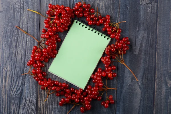 Caderno de receitas com Viburnum — Fotografia de Stock