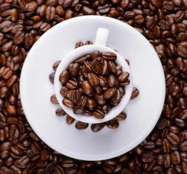 Beyaz fincan kahve çekirdekleri