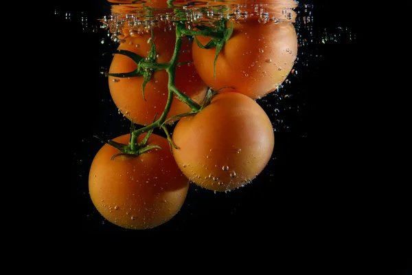 Frische Tomaten in Wasser — Stockfoto