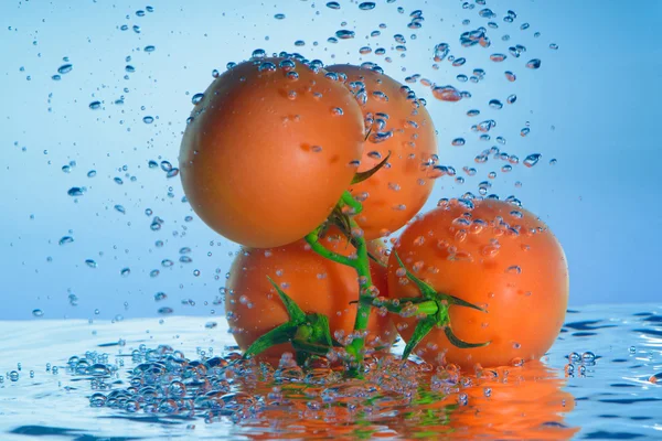 Fresh tomato in water — Stock Photo, Image