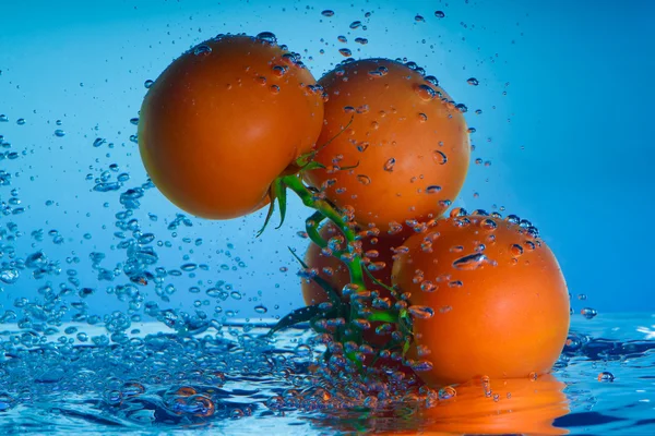 Tomates fraîches dans l'eau — Photo