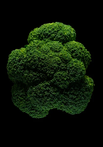 Brócolos frescos — Fotografia de Stock