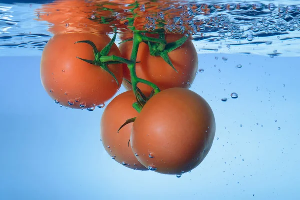 Tomate fresco em água — Fotografia de Stock