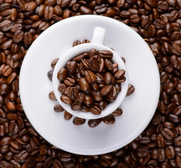 Beyaz fincan kahve çekirdekleri