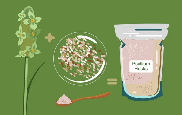 Psyllium Plant Bloemen Kaf Pakje Houten Lepel Met Poeder Ispaghula — Stockvector