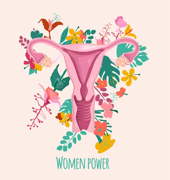 Sistem Reproduksi Perempuan Yang Sehat Dengan Latar Belakang Bunga Uterus - Stok Vektor