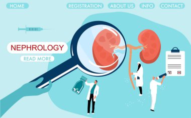 Dünya Böbrek Günü web sitesi şablonu. Neştoloji. Pyelonefrit ve böbrek yetmezliği hastalığı. Doktorlar büyüteçle inceleme organı. Taşlar, sistit kronik hastalıklar.