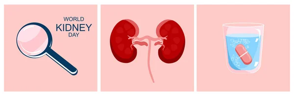 腎臓の世界腎臓の日の水平バナー 腎臓腎炎と腎不全 ヒトの臓器 柱と水の拡大鏡とガラス 慢性疾患 濾過の問題 ベクトル — ストックベクタ