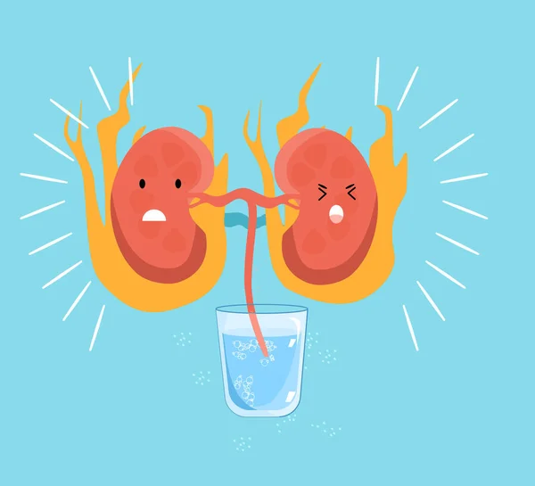 Kidney Disease Concept Dehydration Impaired Filtration Cute Kawaii Human Organ — Stock Vector