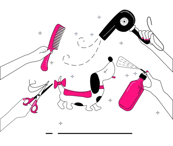 Hands Hold Grooming Tools Dog Fur Hair Care Vector Set — Stock Vector