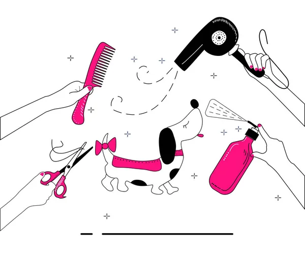 Les Mains Tiennent Des Outils Toilettage Pour Soin Fourrure Des — Image vectorielle