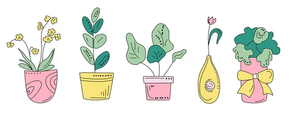 스타일의 가정용 식물들 손으로 묘목은 Eco Hofby Illustration Gardening Grow — 스톡 벡터