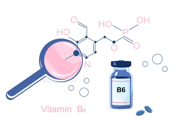 Vitamin Mit Chemischen Formeln Pyridoxin Und Coenzym Essentielle Nährstoff Bioaktive — Stockvektor