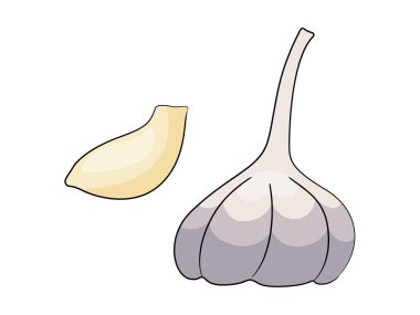 Sarımsak vektör çizimi beyaz arkaplanda izole edildi.