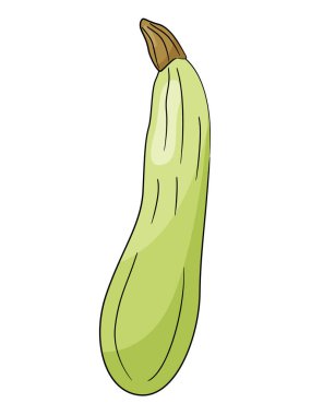 Kabak vektör çizimi beyaz arkaplanda izole edildi.