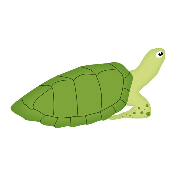 Netter Cartoon Grüne Schildkröte Charakter Vektorillustration — Stockvektor