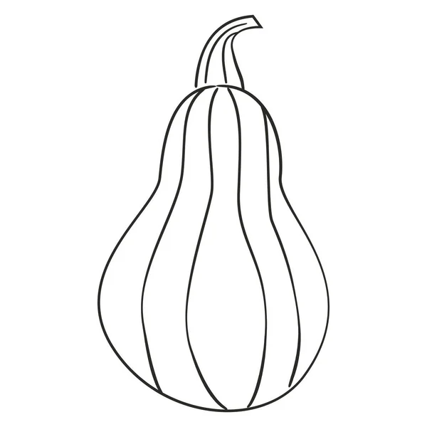 Calabaza garabato contorno vector mano dibujado ilustración. — Archivo Imágenes Vectoriales