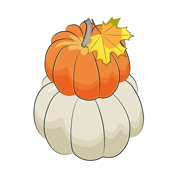 Witte en oranje herfstpompoenen. Vectorillustratie. — Stockvector