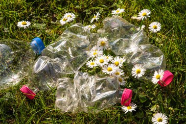 Çevrede terk edilmiş şeffaf plastik şişeler. Plastik kirliliği ve geri dönüşüm.